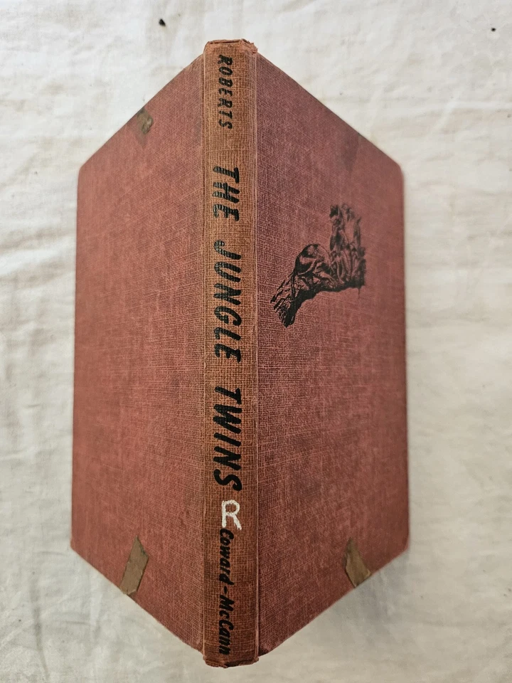 The Jungle Twins - Image 1 of 1