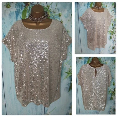 SIGUIENTE Top de Lentejuelas Talla 20 Champagne Dorado Elástico Fiesta Navidad Noche Crucero Foto 1 de 4