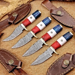 4 Pcs Damascus Blade Skinner Knives Set | 6" | Camel bone, Leather Sheath IT-863 - Picture 1 of 8