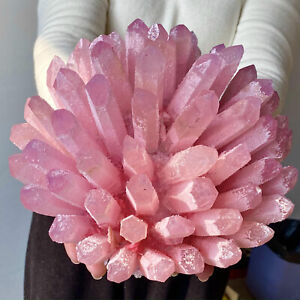 12,21 Pfund Natural Best Rosa Kristall Cluster Blume Heilung Probe