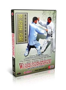 Chinese Kungfu Wuxing Interlinked Fist and Wuxing Counterattack -Chu Guiting DVD - Imagen 1 de 1