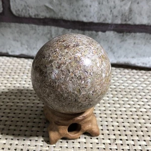 170g Top! Espécimen de hueso de dinosaurio pulido natural Madagascar d1 - Imagen 1 de 9