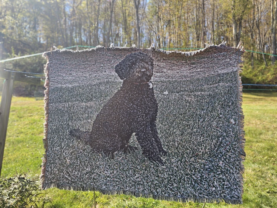 Tapiz Goldendoodle negro Foto 1 de 3
