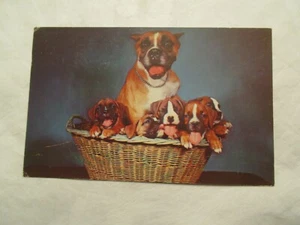 Postkarte Boxer Welpen Welpen Hund - Bild 1 von 2