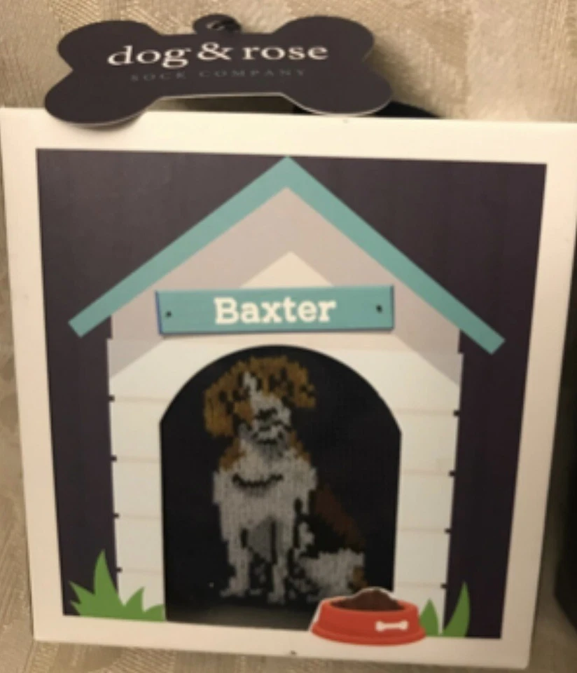 Paquete de 1 calcetín Archie perro y rosa HOMBRE nuevo EE. UU. 8-12 NUEVO EN CAJA vestido calcetines redondos caja de regalo Foto 1 de 1