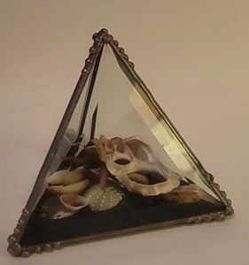Triangle Glass Pyramid w/Black Sand Anemone Starfish Seashells Shell Paperweight - Picture 1 of 19