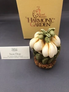 Harmony Kingdom Garden Box "SNOW DROP" Ladybug Lord Byron HGSD 1997/1999 Neu in OVP - Bild 1 von 11