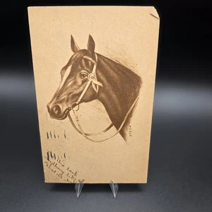 1914 Cartolina Ritratto di Cavallo Schizzo Arte Troy NY Spedita Rossa 2 Centesimi Washington - Foto 1 di 3