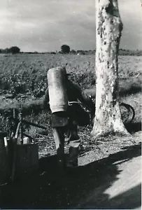 Hérault c. 1935 - 3 Photos Pêcheurs Vignerons Sulfatage des Vignes - NV 6652 - Foto 1 di 6