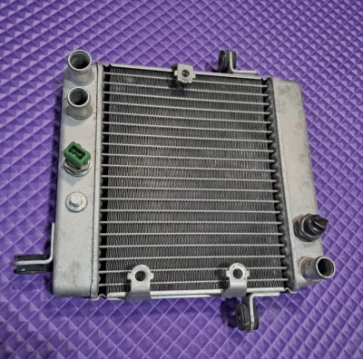 2004 年本田 Reflex 250 Radiator — 第 1/2 张图片