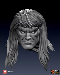 Buscema-Stil Conan der Barbar v3 benutzerdefinierter Kopf für Marvel Comics Actionfigur - Bild 1 von 1