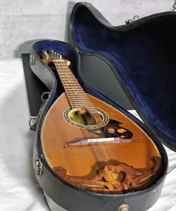 Mandolin No.203 1965 stringed instrument with hard case Nagoya Japan Stringed - Picture 1 of 15