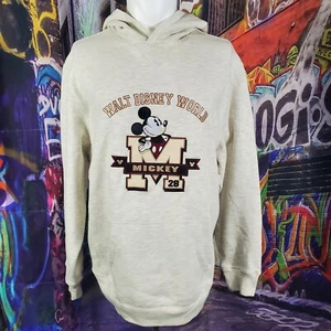 Walt Disney World Vintage Pullover Hoodie Size Medium (A36) - Picture 1 of 9