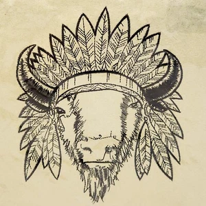 NEW Boho Buffalo Bison Native Tribal Headdress Embroidered Graphic Accent Pillow - Picture 1 of 4
