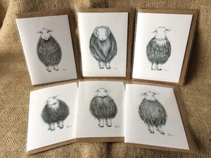 Mixed Herdwick Sheep Cards Pack of 6 - Picture 1 of 1
