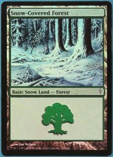Snow-Covered Forest FOIL Coldsnap HEAVILY PLD Basic Land CARD (148273) ABUGames