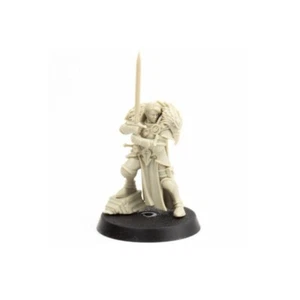 CAPTAIN EMELDA BRASKOV Witch Hunter Captain Cursed City Quest Age of Sigmar - Picture 1 of 2
