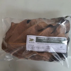 Natural Breadfruit ppLeaves Leaf x5 Shrimp Food for Aquarium Fish Tanks Tannins - Picture 1 of 1