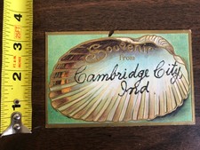 Vintage 1909 Lembrança Da Cidade De Cambridge, Indiana Em Relevo Concha Cartão Postal