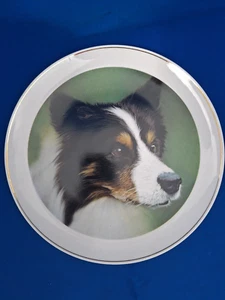 'A Dog's Tale Collectibles' - Border Collie Collectible plate - Picture 1 of 2