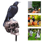 Halloween Crow Skull Yard Sign for Outdoor Decoration