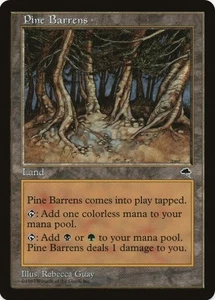 1 x Pine Barrens - Tempest - LP - MTG - EOF - Picture 1 of 1