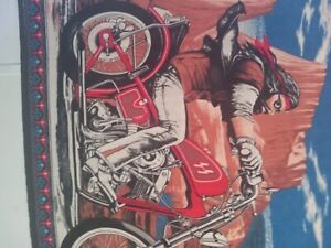 David Mann Ghost Rider Tapestry Harley Easyrider Vintage Flag BUCO Rare135.5×86㎝