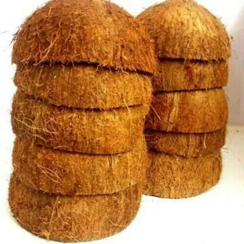 MITADES DE CÁSCARA DE COCO Ecológicas Ceilán 100% Natural Puras Mejor Cáscara de Coco Foto 1 de 4