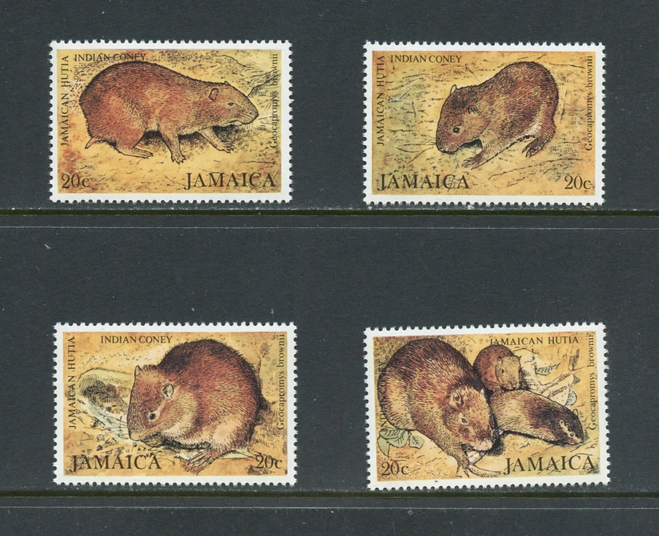 B500 Jamaica 1981 fauna indio Coney Hutta 4v.   MNH   Foto 1 de 1
