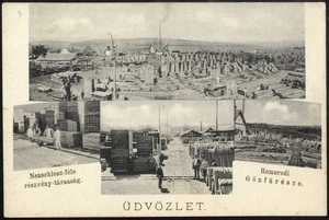 ROMANIA 1900 cca.  HOMORÓD HAMRUDEN, STEAM SAW, PARQUET stacks, workers 3 unused - Picture 1 of 2