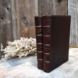 Antique 1874 Lives of The Engineers by Samuel Smiles Leather Bound Books Pair - Imagen 1 de 15