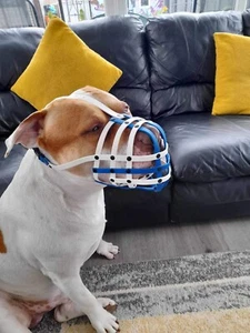 Polymer Dog Muzzle | Training & Behaviour | Strong & Waterproof | Xl Bully - Picture 1 of 19