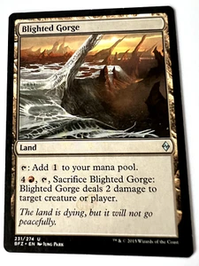 MTG MagicThe Gathering Battle for Zendikar Blighted Gorge  Uncommon LP - Picture 1 of 2