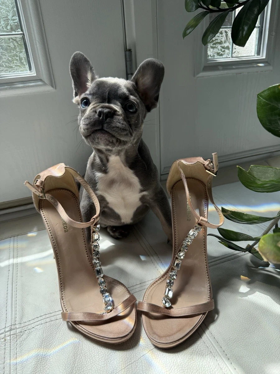 Dsquared2 Shoes for Women for sale | eBay