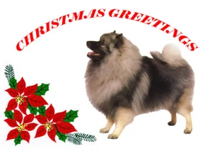 KEESHOND SINGLE DOG PRINT GREETING CHRISTMAS CARD - Picture 1 of 1