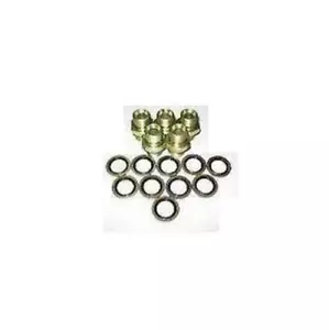 ADATTATORE IDRAULICO MASCHIO MASCHIO 3/4" - 3/4" BSP 5 OFF BAGS ZZ001739 Consegna gratuita UK - Foto 1 di 1