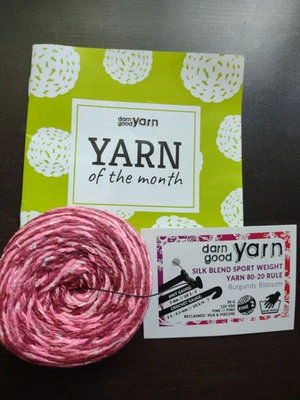 Darn Good Yarn Kit #3 Reclaimed Silk Blend Sport Weight yarn 125 yds. Fine 2 - Image 1 of 4