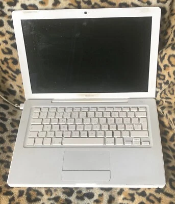 Apple Macbook White Intel Core2duo 2,16 Ghz 2gb Ram 160gb HD - Immagine 1 di 4