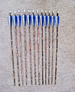 (12) Gold Tip Advantage 5575 Arrows  & (5) Gold Tip Falcon 35 Graphite,  ALL NEW - Picture 1 of 8