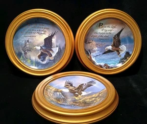 3er Set hängende Bone China Franklin Mint Royal Doulton Adler gerahmte Teller  - Bild 1 von 14