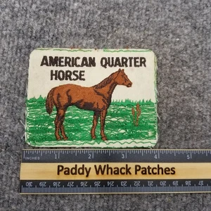 Vintage American Quarter Horse Patch Missing Border AC2 - Picture 1 of 2
