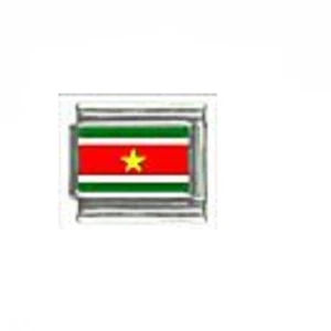 Suriname flag Italian charm - fits 9mm classic Italian Charm bracelets - Picture 1 of 1