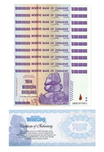 Billete de 10 mil millones de Zimbabue 2008, P-85 usado paquete certificado de autenticidad auténtico billón - Imagen 1 de 2