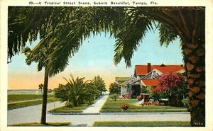 SUBURBAN TROPICAL STREET SCENE, TAMPA, FLORIDA, VINTAGE POSTCARD - Picture 1 of 2