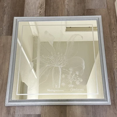 Espejo Grabado Vintage Mandrágora Foemina Basilius Besler Arte RARO Enmarcado 27x26" Foto 1 de 4