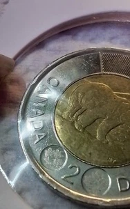 2015  Canadian  Toonie   $2.   Press Rim Mistake            #151 - Bild 1 von 9