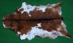 Nueva alfombra de piel de cabra alfombra de pelo en área talla 38"x24" cuero animal piel de cabra 209 - Imagen 1 de 3