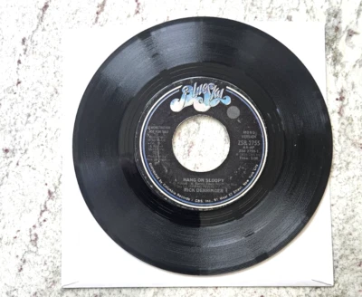 RICK DERRINGER: hang on sloopy BLUE SKY 7"  Promo Vg tested Foto 1 de 2