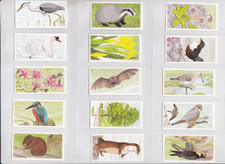 Cigarette Cards-Brooke Bond-A Journey Down Stream- 50/50