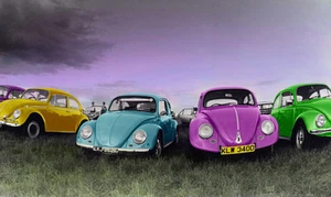 Photographic poster of old style VW beetles in line,new - Picture 1 of 1